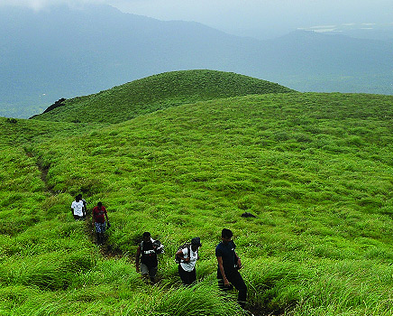 Wayanad